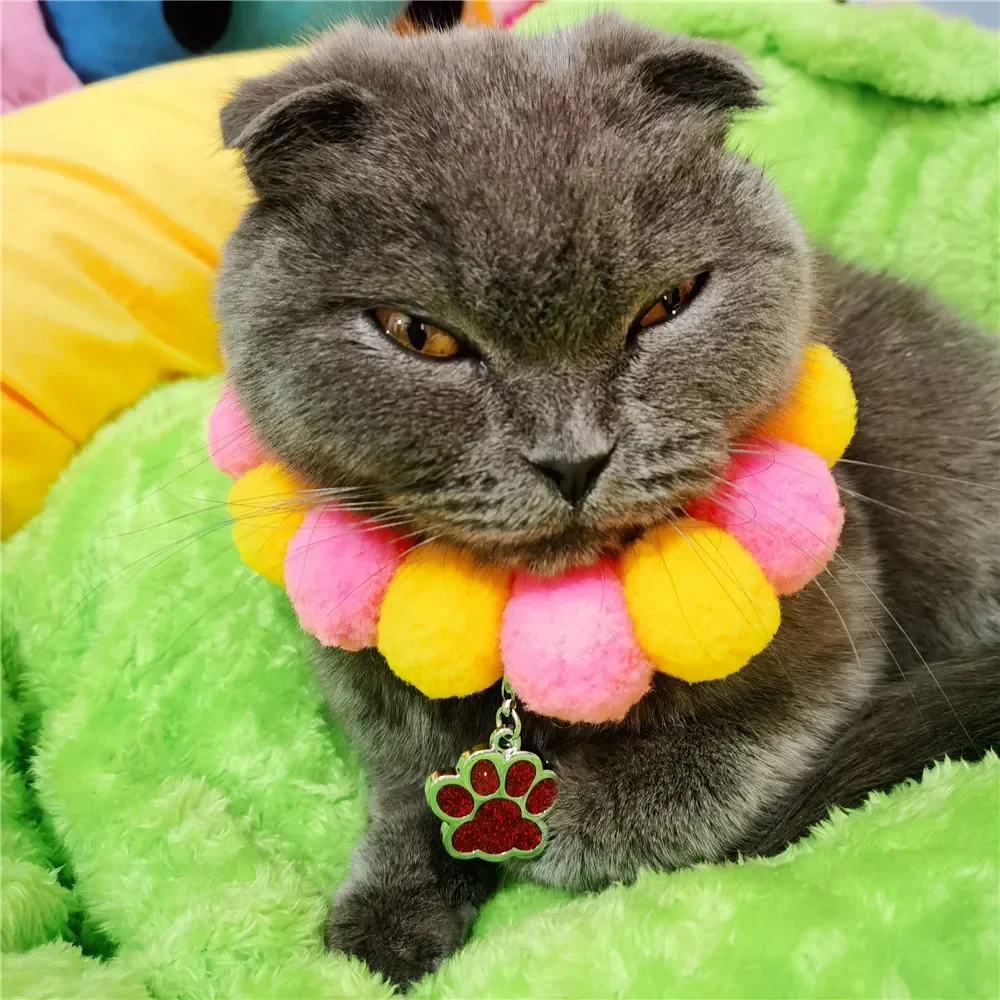 Buntes Katzenhalsband mit glitzerndem Pfotenanhänger, Hundehalskette, DIY-Hundehalskette, Fellpflegezubehör für Haustiere