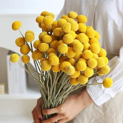 Kras Pedro Bouquet, Dry Billy Ball, Drum Stick Flower, Yellow Flower, Wedding, Dining Table Home Decoration, Flower, Diy Handicrafts, Farmhouse, Wedding Bouquet, Flower Gift, Dried Flower Garland