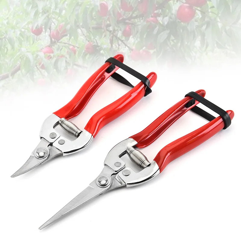 Stainless Steel Pruning Scissors Gardening Scissors Household Fruit Picking Grape Scissors Garden Branch Pruning Tools