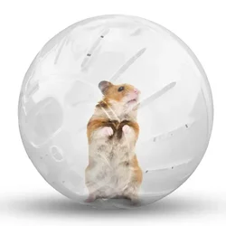 1 Pcs Gerbil Hamster Jogging Fitness Ball Cage Toy Pet Mini Sports Running Wheel Windmill Hamster Ball