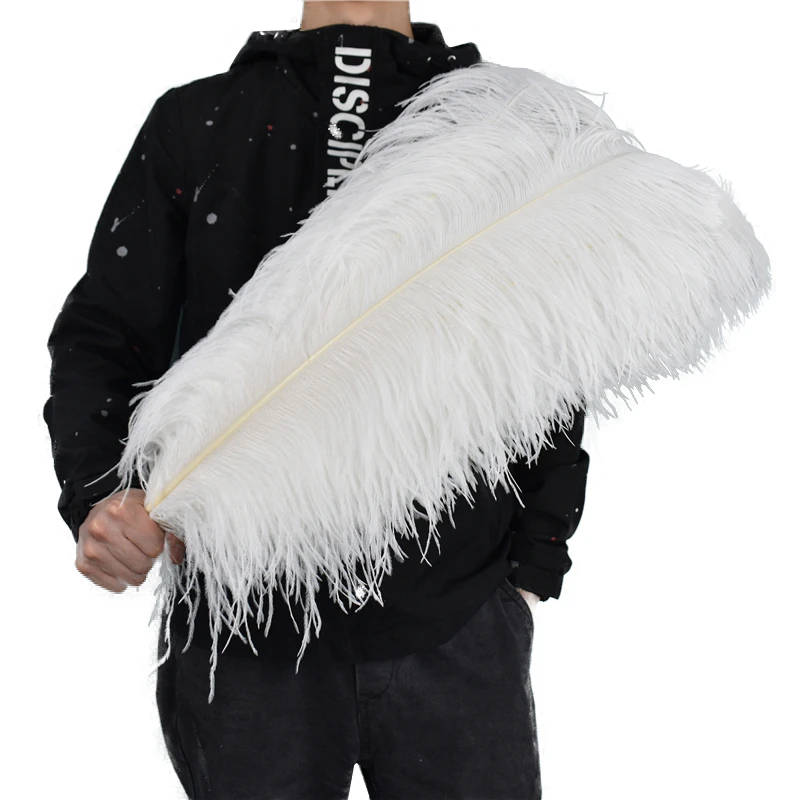 White Ostrich Feather Decor 15-70cm/6-28