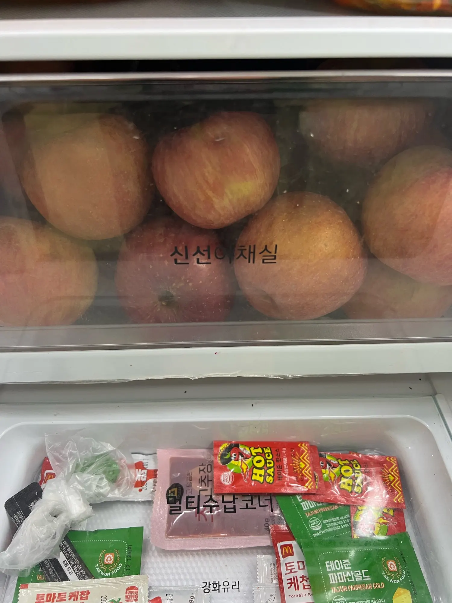 실물 포토 리뷰