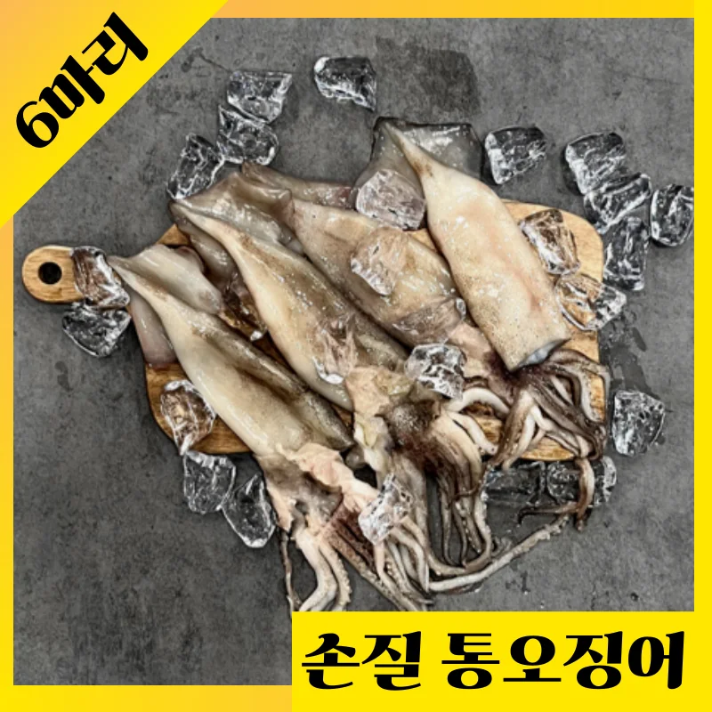 Mugohwa Clean-Cut, Calamar Entero Criado en el Océano, 6 Piezas (780g o Menos), 260G por Paquete x 3 Paquetes