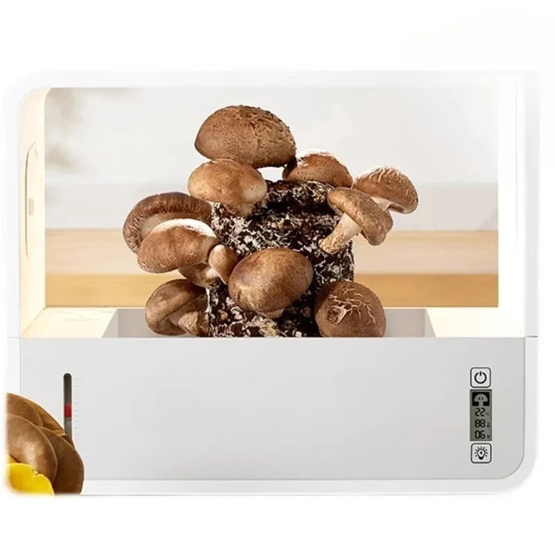 Smart Mushroom Machine: Indoor Desktop Hydroponic Cultivation System for Small-Scale Shiitake Mushroom Growing.