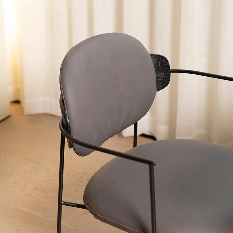 Nordic wrought iron, light luxury home, soft bag leisure chair, modern simple dining chair 5