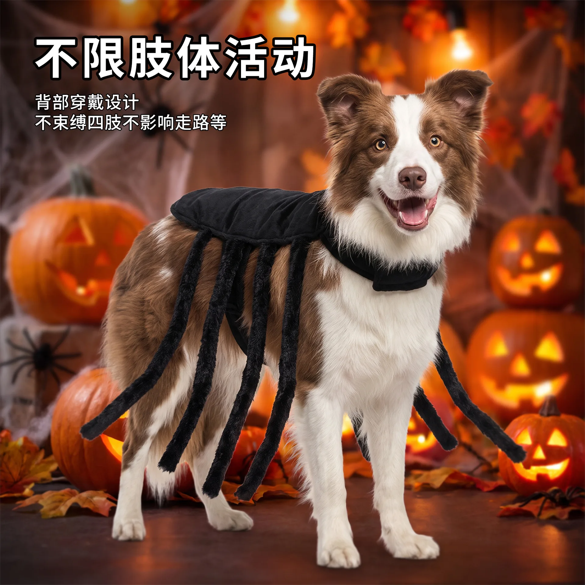 Halloween Pet Costumes Spider-Inspired Backpacks for Cats Dogs Small Breed Dogs - Perfect for Halloween Animal Themed Dress-Up