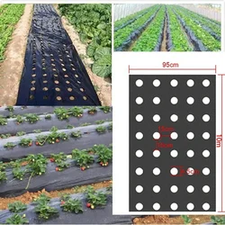 Garden Greenhouses Perforated Film Grow Your Vegetables With Our Black Plastic Mulch Film - Perfect For Plant Protection