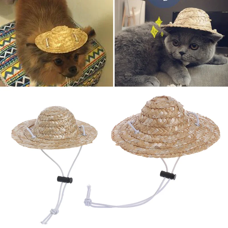 Los accesorios del gato