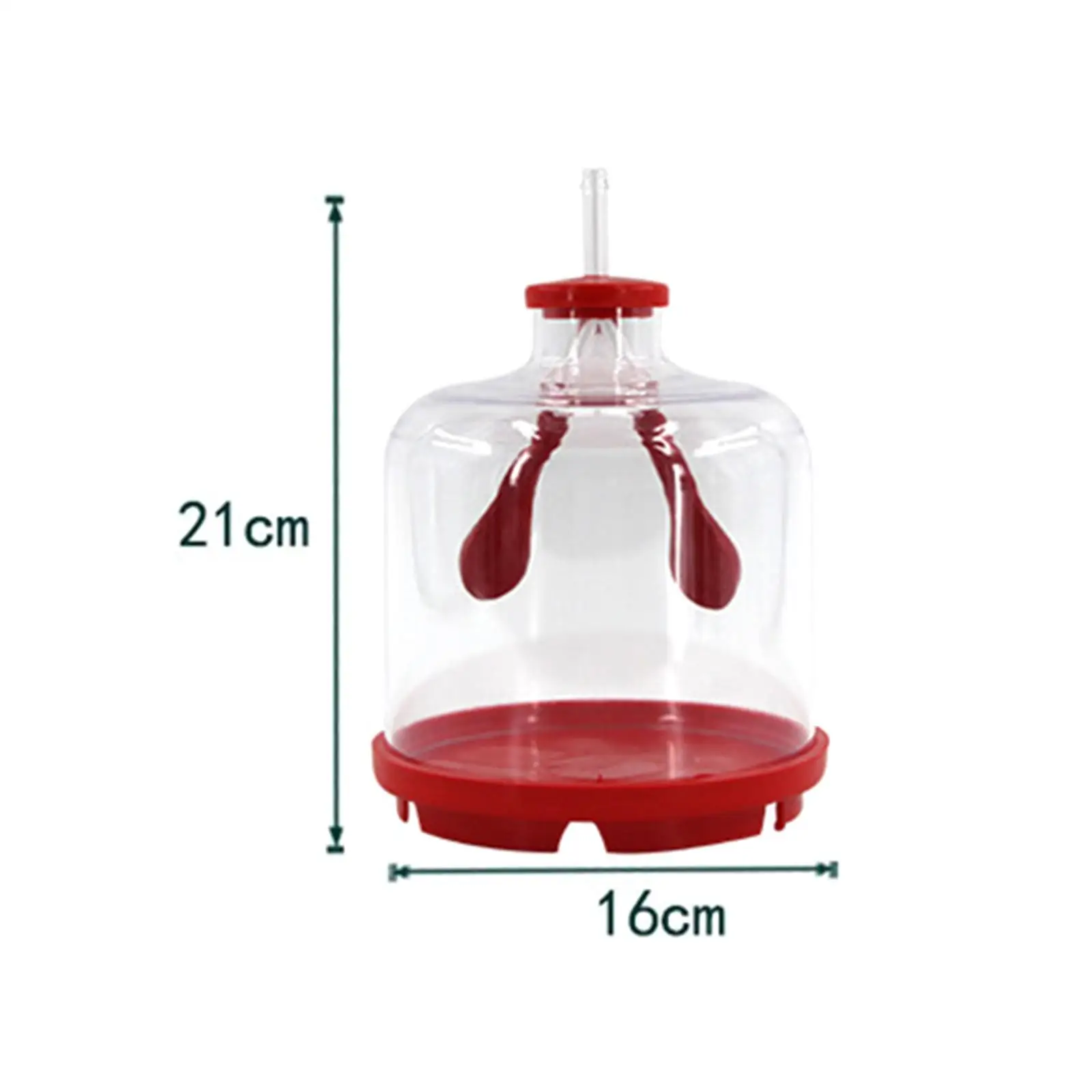 Lung Demonstration Model Educational Toy Teaching Supply Biology Teaching Props