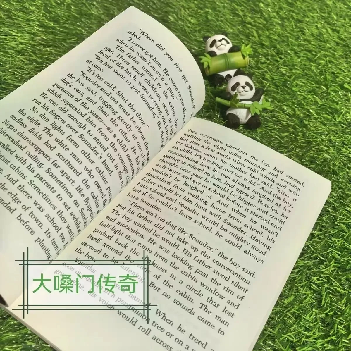 The Profound Friendship Between An African American Boy and His Hunting Dog Amidst Racial Discrimination and Social Injustice