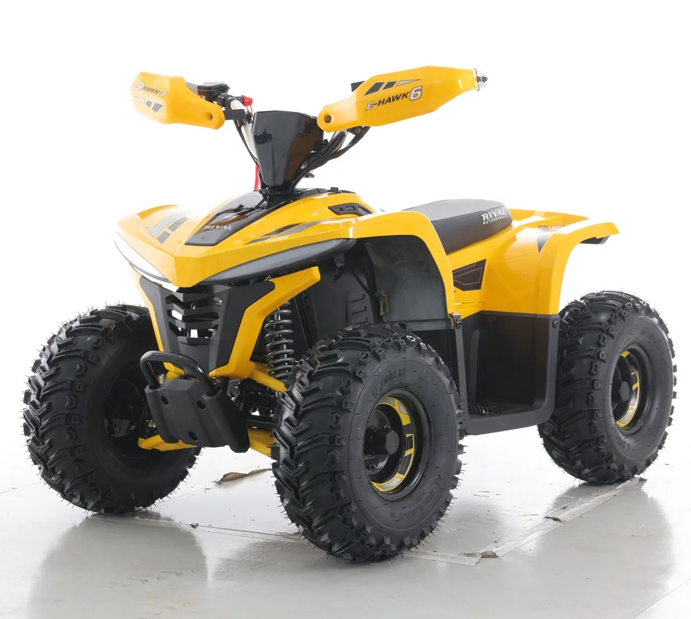 Motor Automatic Chain Drive ATV Electric Made in China 48V 1600W Teenage and Adults Electric ATVS with CE