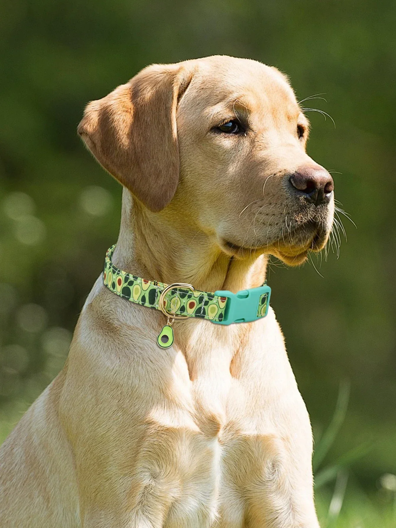 CP611 Pet Dog Puppy Cat Fruit Pattern Collar with Metal Fruit Pendant Applicable To Small Medium Pet