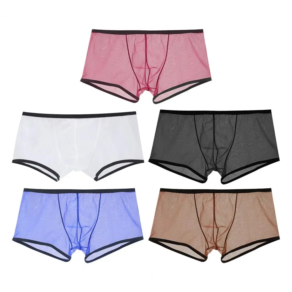 Transparent Boxers for Men See Through Male Underpants Sexy Low Waist Panties Lingerie Intimates