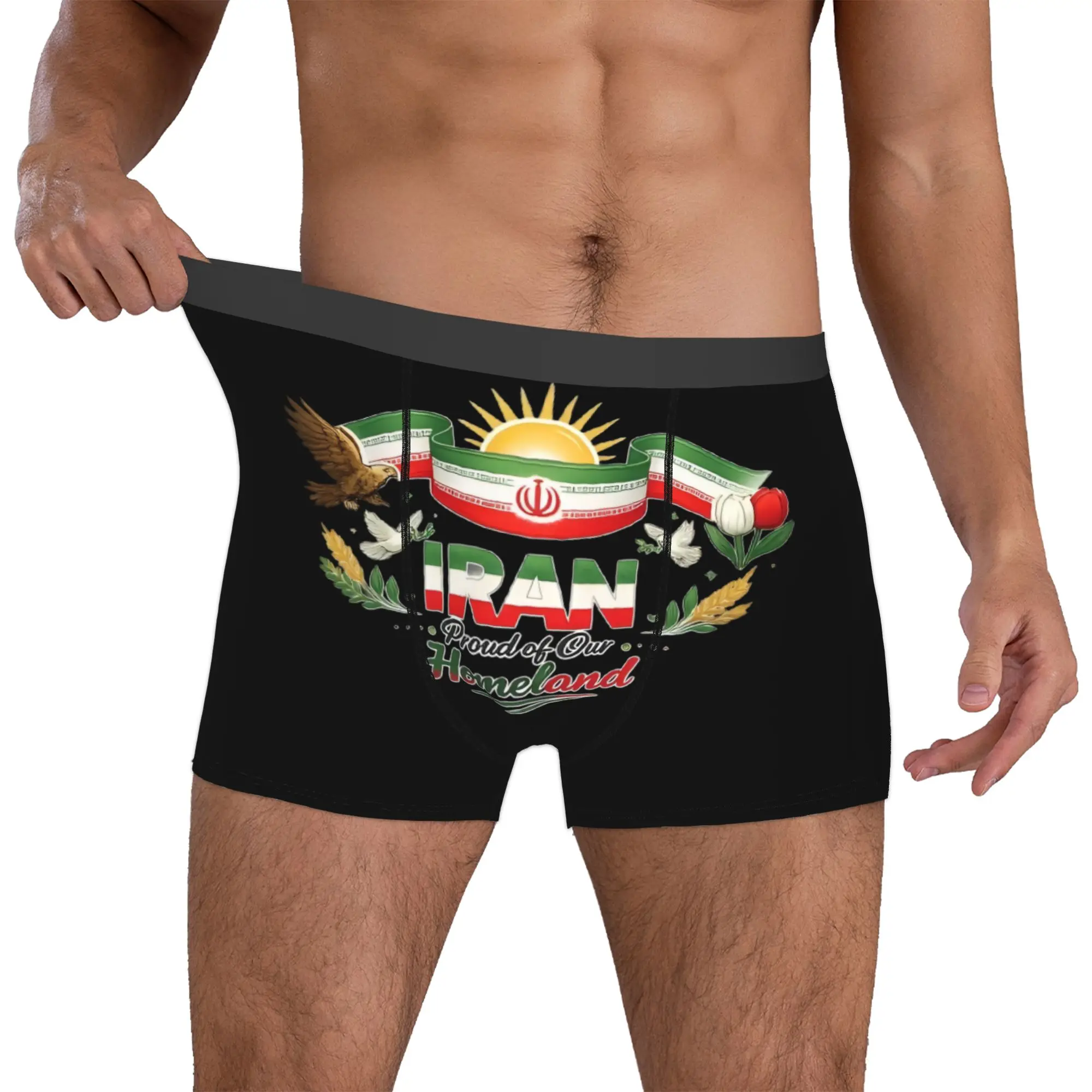 Custom I-Iran Underwear Male Printed Flag Boxer Briefs Shorts Panties Breathable Underpants