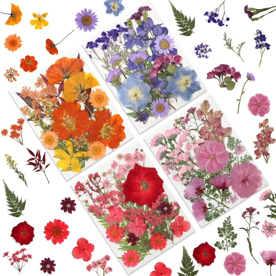80 قطعة من الزهور المضغوطة المجففة للحرف اليدوية زهور مضغوطة مجففة طبيعية حقيقية في نغمات متعددة الألوان نابضة بالحياة لمجوهرات الراتنج ذاتية الصنع #1