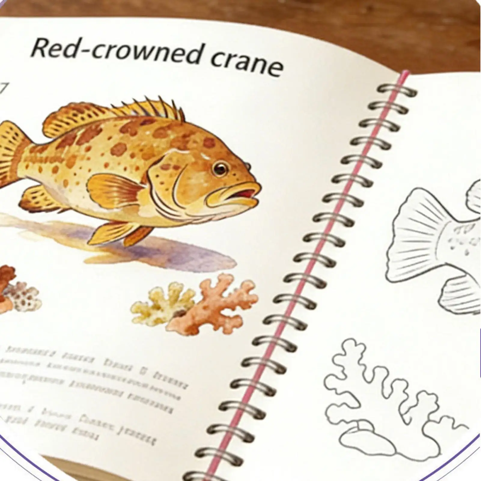 Watercolor Coloring Book Funny Smooth Writing Spiral Binding Water Color Book Painting Supplies for Beginner Boys Girls Adults