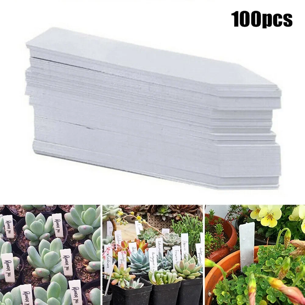 

100Pcs Set Plant Labels 5*1cm White Plastic Waterproof Tags UV Resistant Label Garden Plants Classification Sorting Sign Tag