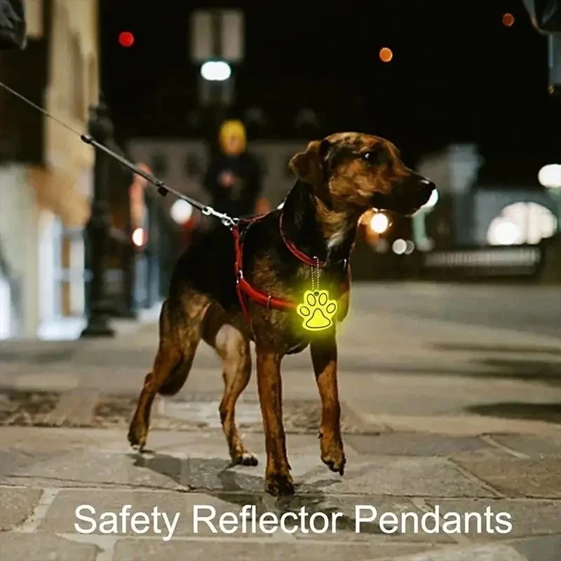 Led Haustier Hund Leine Seil Mit Licht Leuchtende Leine USB Lade für Hund Sicherheit Blinkende Leuchtende Kragen Harness Zubehör – Detail 20