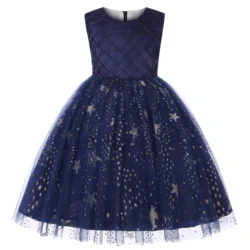 Europe and American children's skirt Elsa princess skirt sequin pommel skirt Children's Day dress dress new foreign trade