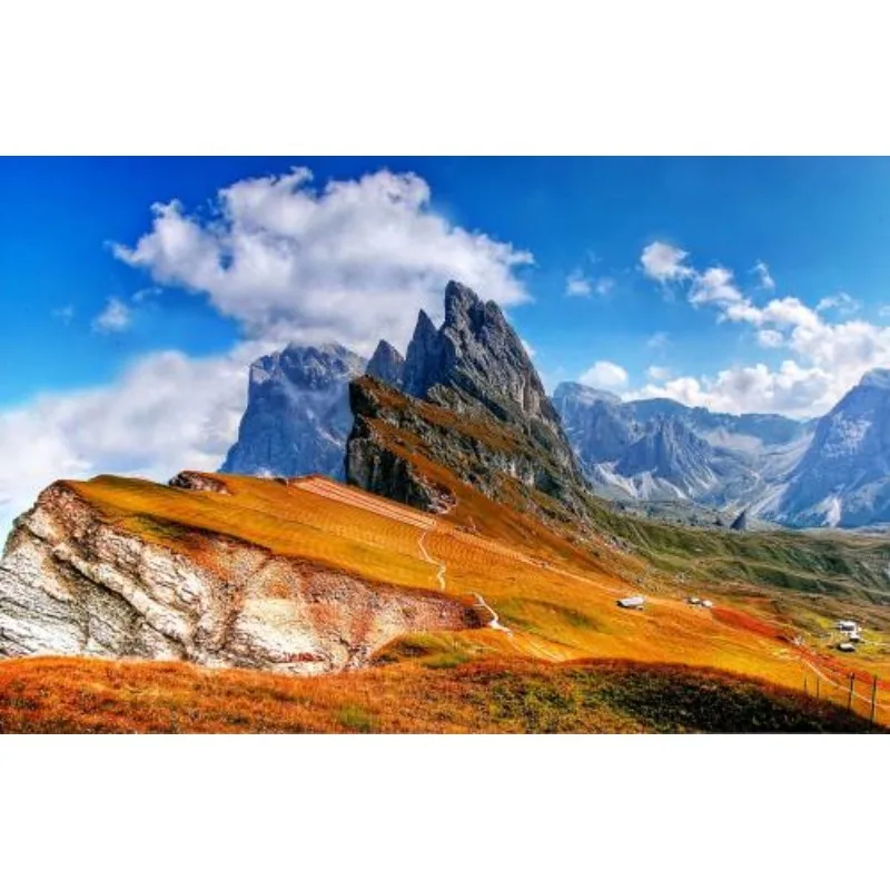 

Holybro 2216 920KV Brushless Motor CW CCW Replacement for S500 V2 KIT X500 KIT Multirotor DIY Parts