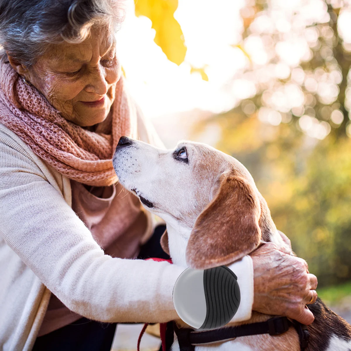 

1Pcs 3M Auto Stretch Dog Rope High Quality Pet Traction Strap Comfortable Breathable for Daily Use Walking Running Camping