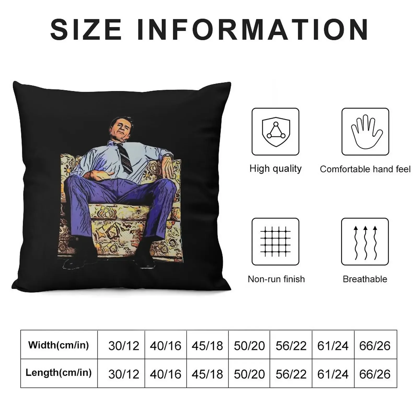 Day Gift Al Bundy Gift Music Fans Throw Pillow Sofa Covers For Living Room Sofa Cushion Cover pillow