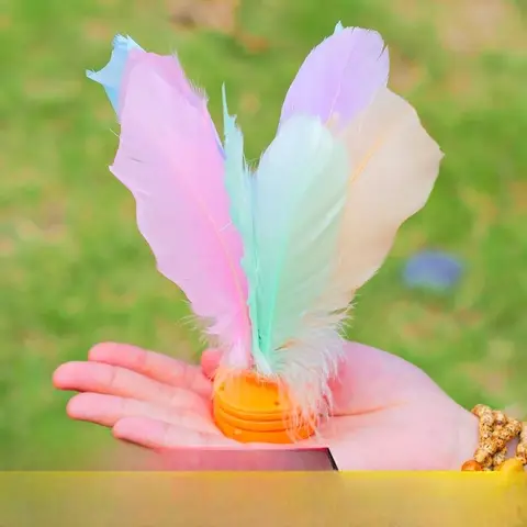 경쟁용 단발구슬 날개 경쟁용 단발구슬 날개 내구성 있는 성인용 단발구슬 날개 단발구슬 날개 단발구슬 날개