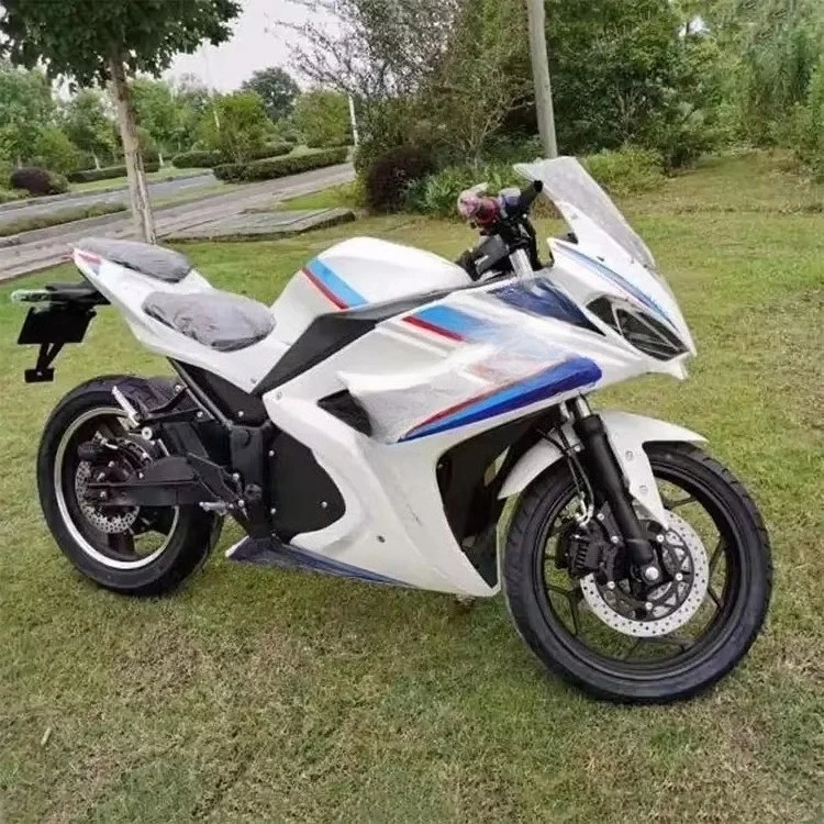 DXY Wholesale New Product Electric Motorcycle Off-Road Vehicle Factory Price Fat Tire Electric