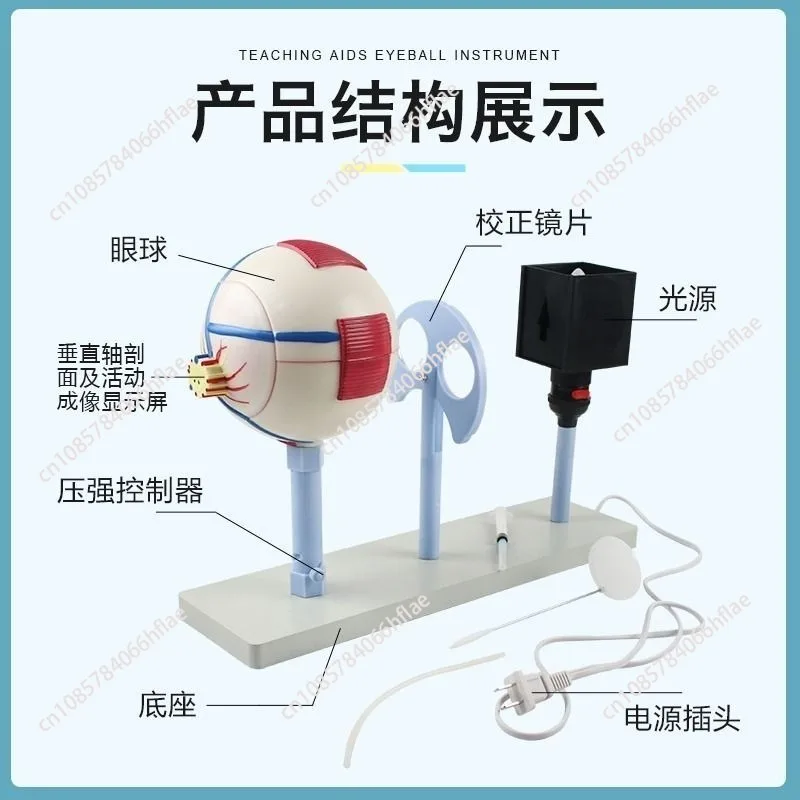 Ophthalmograph Model 3303 Lens Curvature Variable Eye Imaging Structure Biological Instrument