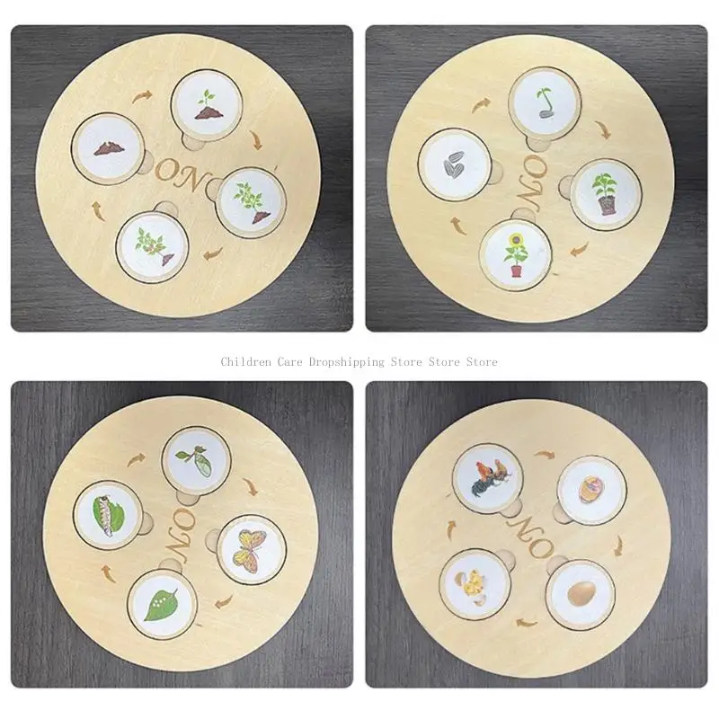 Biological Life Growing Boards Boards พ่อแม่กิจกรรมเด็กกิจกรรมการศึกษาปฐมวัยของเล่น