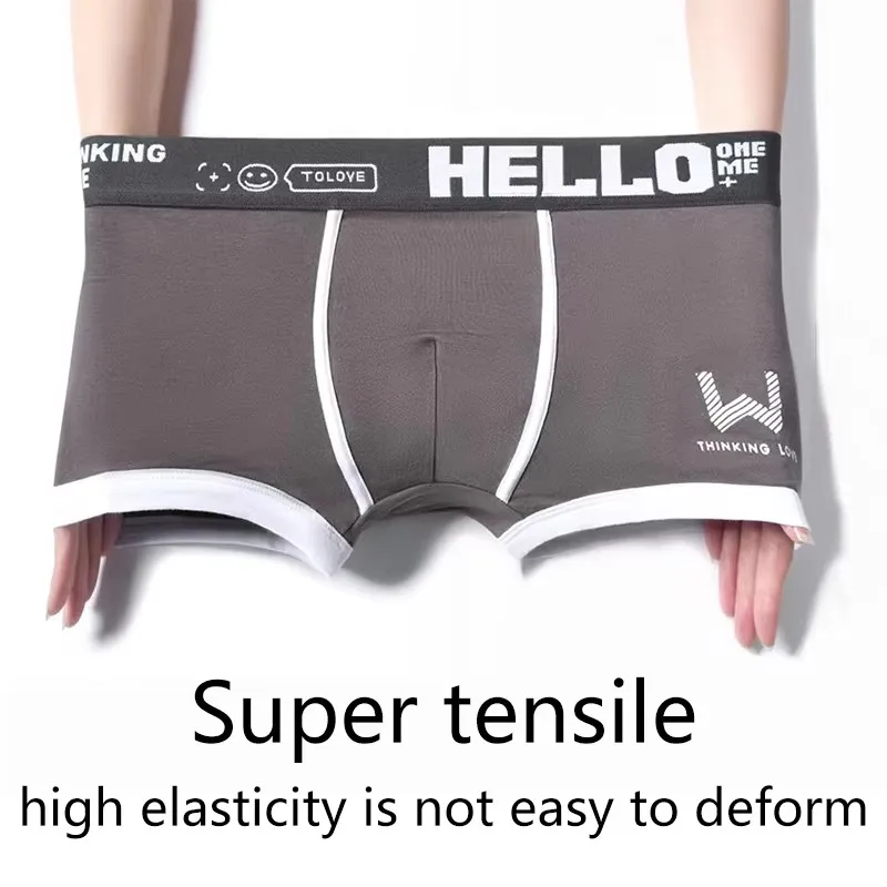 4 PCS 2024 Men\'s Underwear Cotton Underwear Letter Waistband Comfortable Breathable Soft Boxer Fashion Casual Sports Shorts