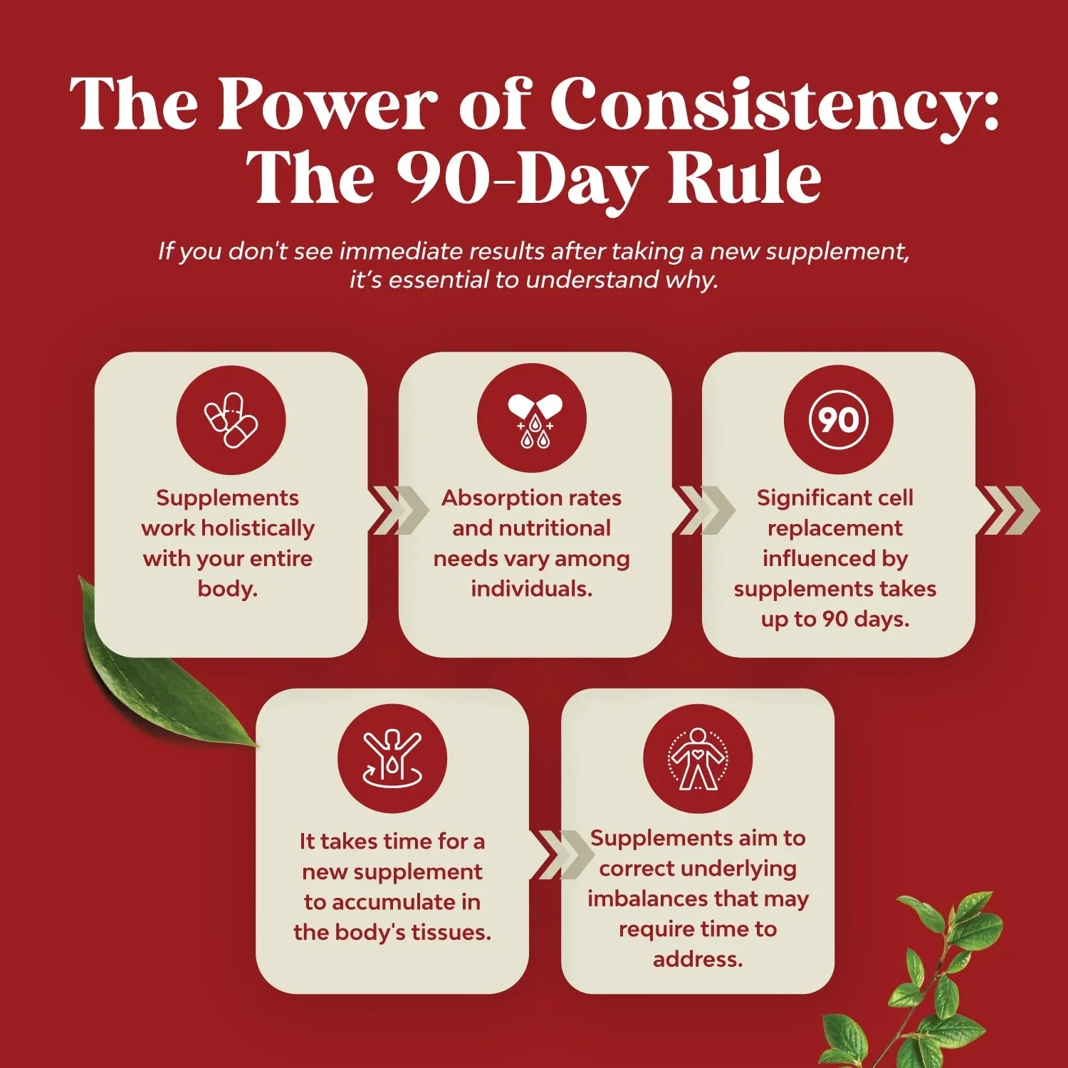 أرز الخميرة الحمراء + كبسولات مكملة CoQ10 - تعزز صحة القلب والدورة الدموية ومستويات الكوليسترول الصحية وتعزز الطاقة