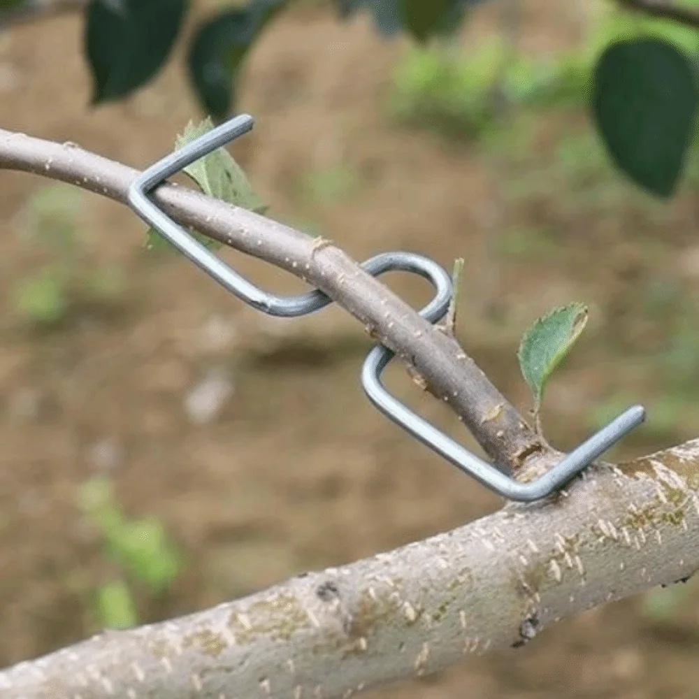 10Pcs M-Shaped Fruit Tree Branch Puller Shape Fixator Metal Branch Shaping Device Branch Bends Heavy-Duty Branch Bending Tools