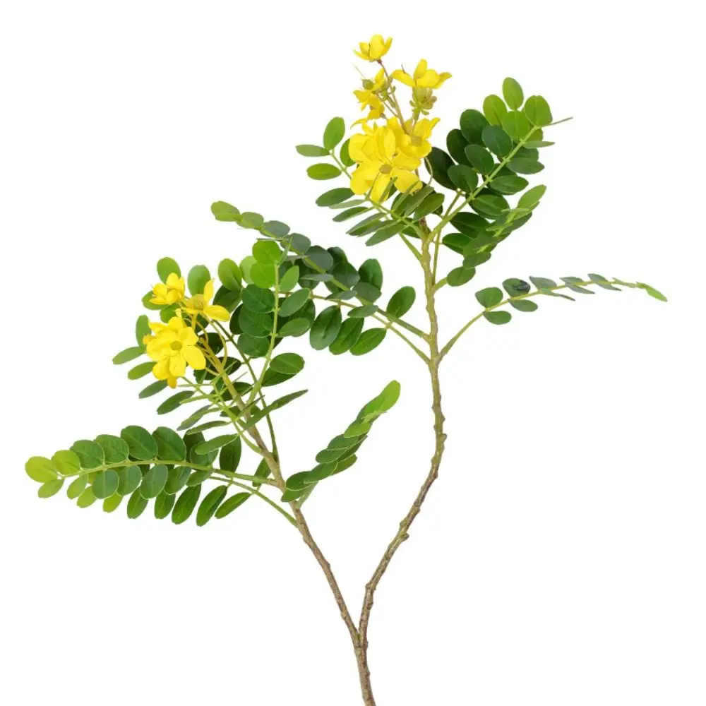 Plastic Artificial Locust Tree Branch Handmade with Green Leaves Simulated Yellow Locust Flowers Elegant Realistic Fake Flowers