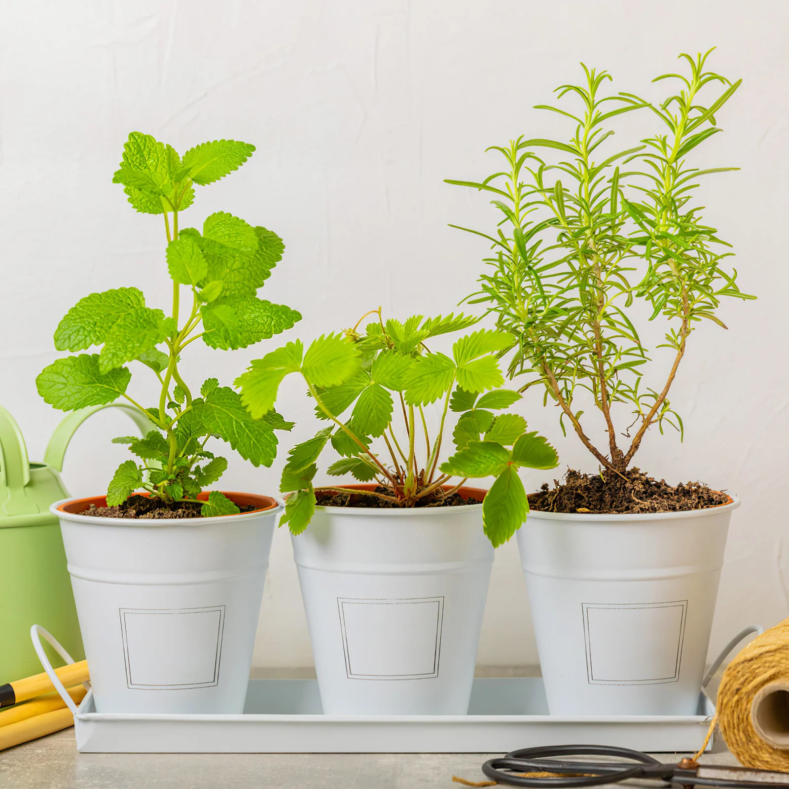 100 Pcs Efficient Plant Growth Containers Soilless Culture Pots Mesh Network Orchid Hydroponic Vegetables