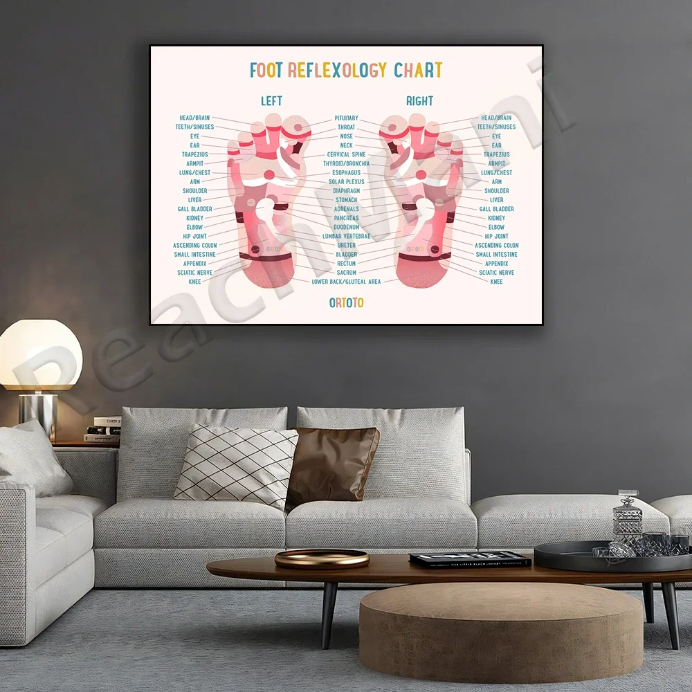 Educational Reflexology Acupuncture Foot Infographics Art Poster for Massage Therapists And Acupuncturists Gift