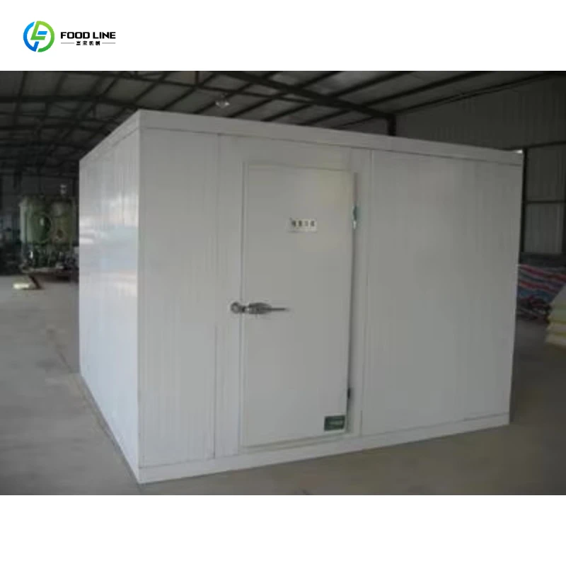 Walk in Cooler Freezer Solar Dual Temp Ctrl Digital Thermo Steel Shelves for Farm Market Restaurant Storage
