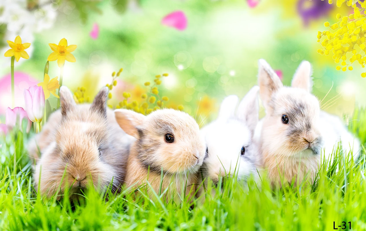 Фоны для фотосъемки с изображением милого кролика зайчика луга красочных яиц Счастливой Пасхи весеннего дня рождения солнечного света цветов