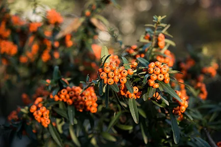 For Mjx Hyper Go 10… - image