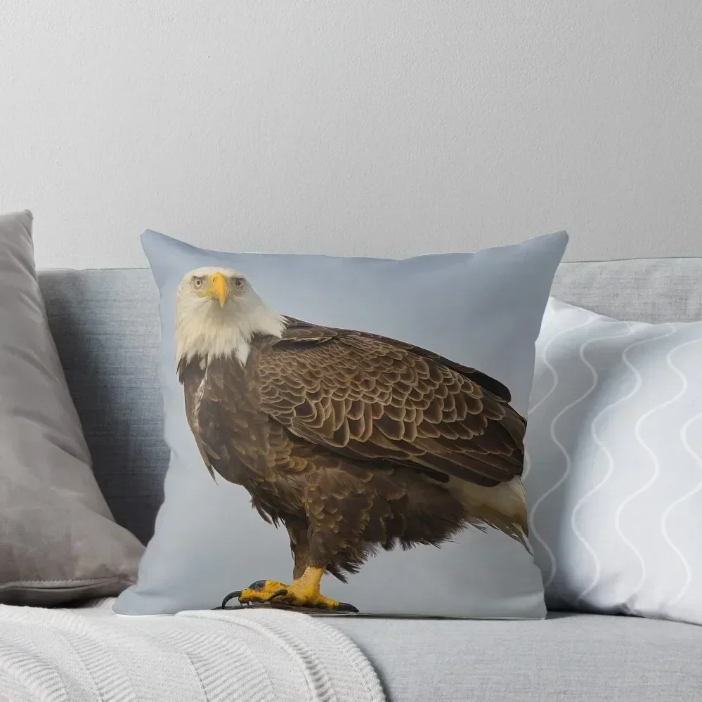 

Eagle Looking at me Throw Pillow luxury covers luxury home accessories Covers For Sofas New year pillow