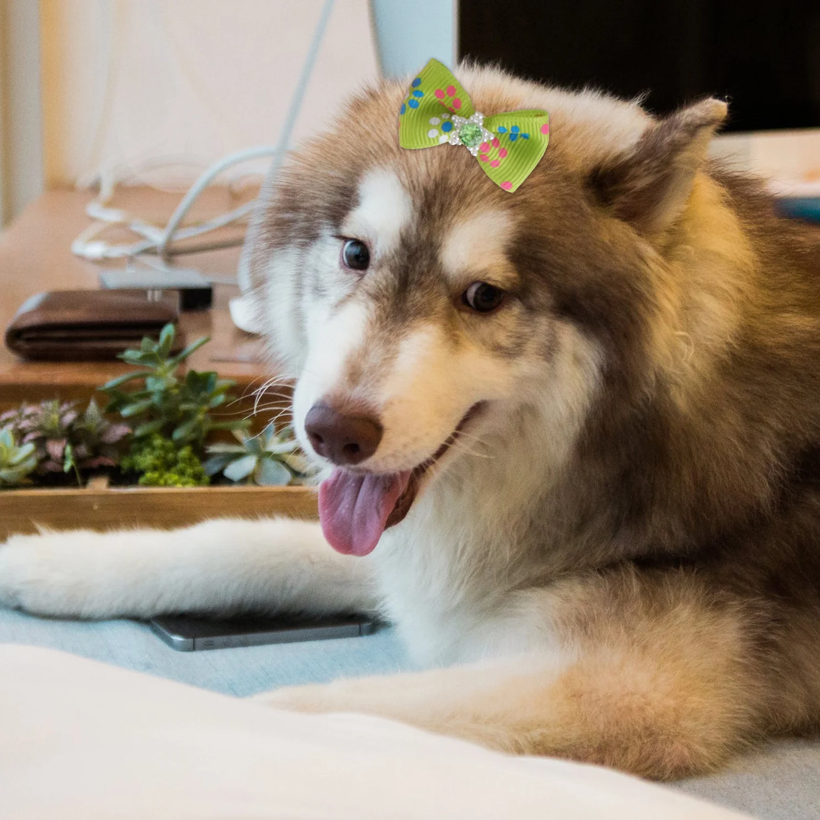 

20Pcs Pet Hair Bows Handmade Ribbon Dog Hair Bowknot with Elastic Band for Cats Decorative Accessories Lovely Pet Headpiece