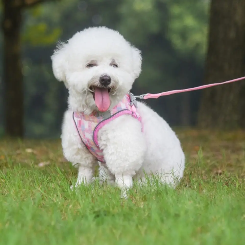 

Adjustable Dog Harness Leash Set Reflective Mesh Pet Vest Style Harness Kawaii Breathable Pet Chest Strap Daily Walk