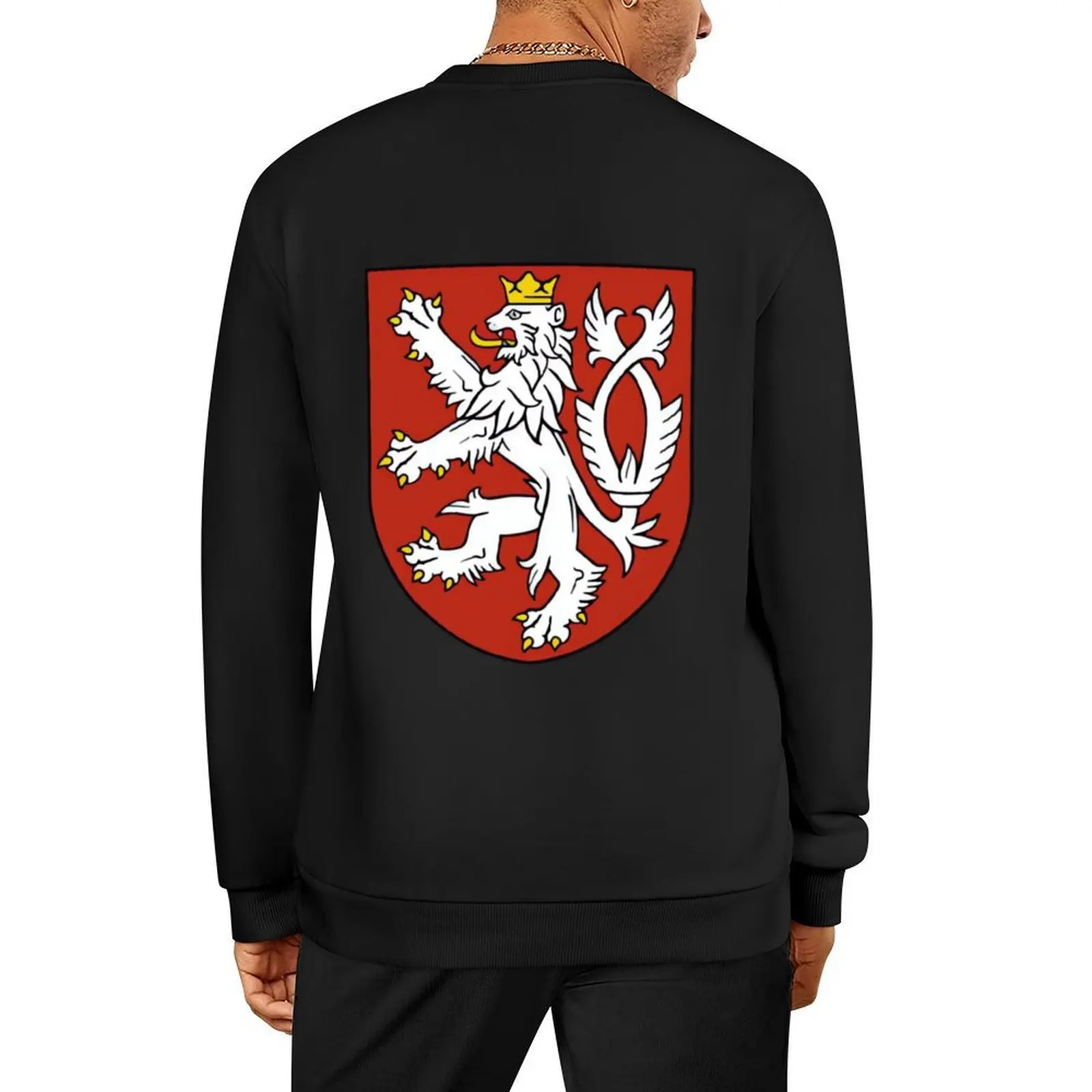 

Bohemia \t Pullover japanese style mens clothing men's sweat-shirt set blouse hooded sweatshirts