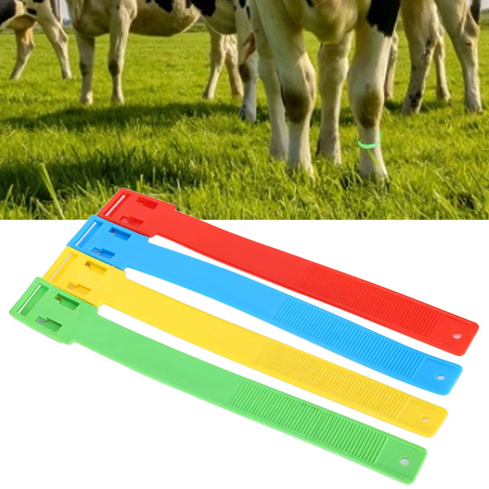 4Pcs Identification Tape For Cattle Cow Feet Muticolor Ring For Farm Livestock