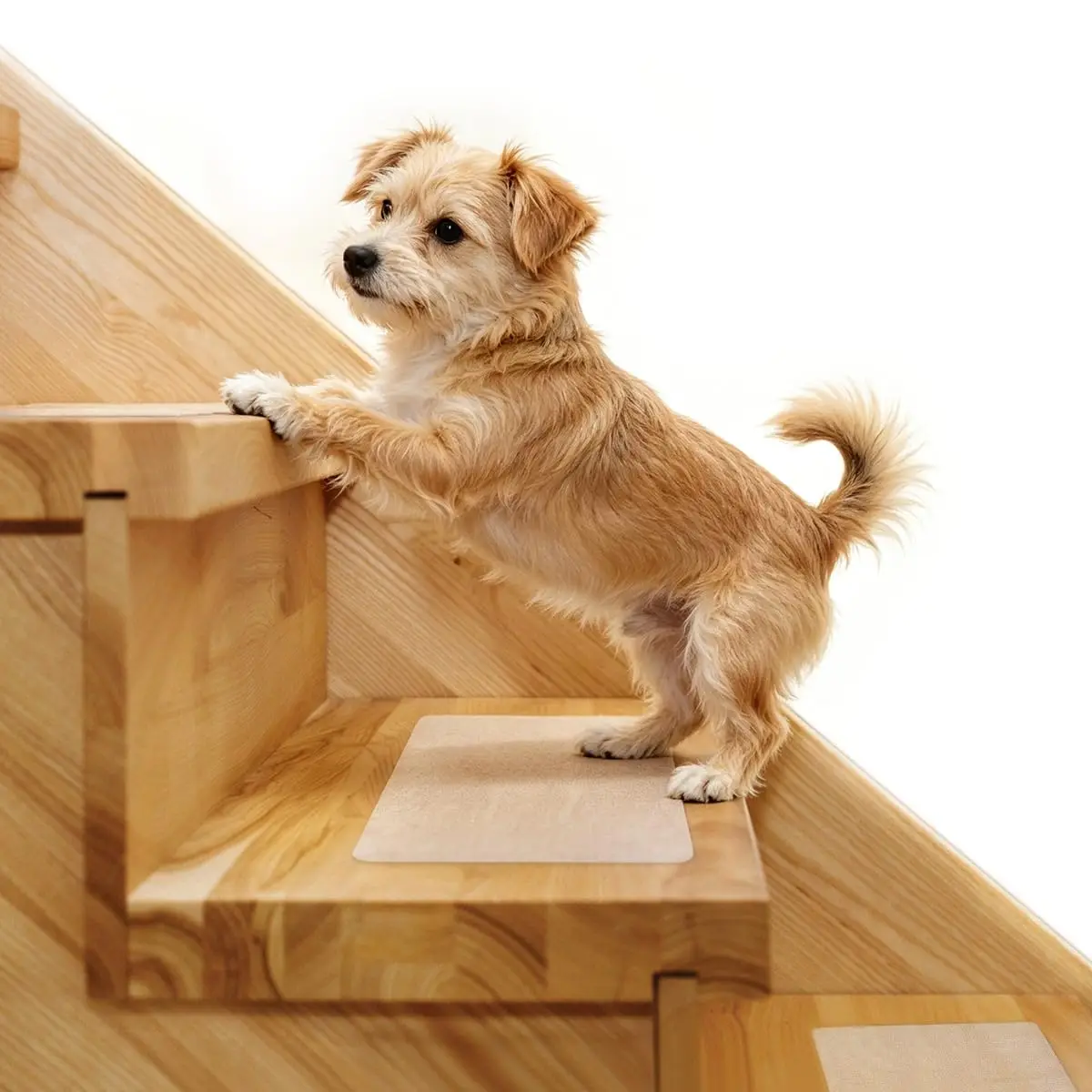 15Pcs Large Size Non Slip Stair Stickers Pre-Cut Anti Slip Strips for Protect The Elderly Kids and Dogs Waterproof Grip Tapes