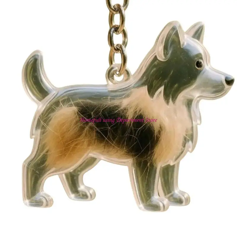 

Mini Pet Furs Memorial Keychain Clear Dog Hair Keepsakes Jewelry Storage Box
