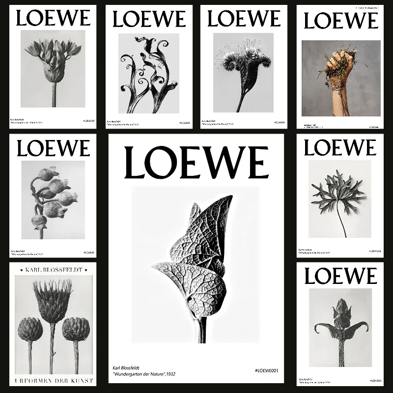 LOEWE Campaigns Poster Self-adhesive Art Waterproof Paper Sticker Coffee House Bar Room Wall Decor