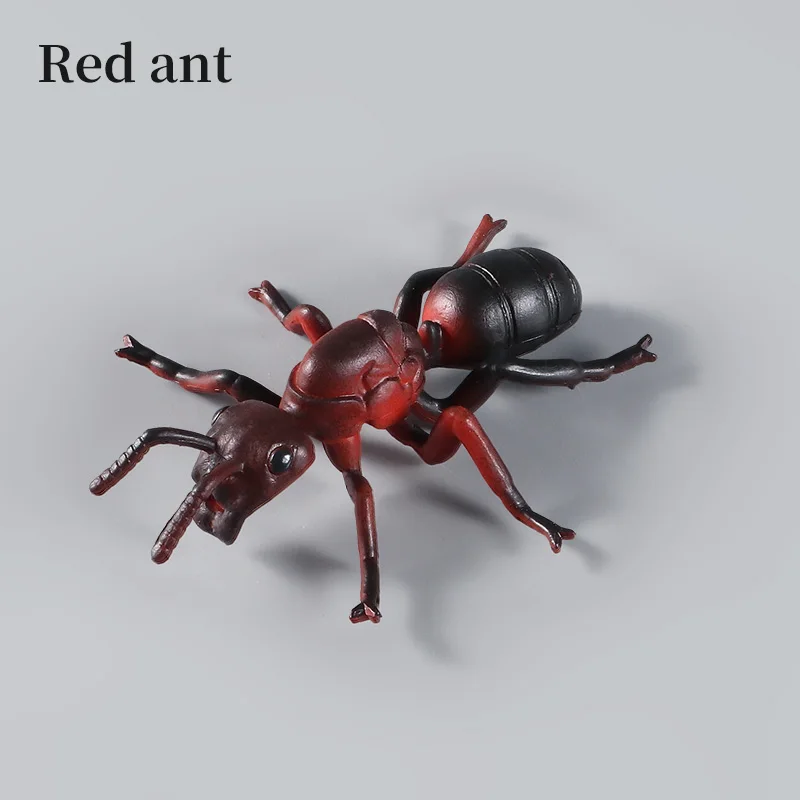 Insect Model Simulation Red Ant Wild Animals Action Figures Miniature Science Educational Toy Kid Gift