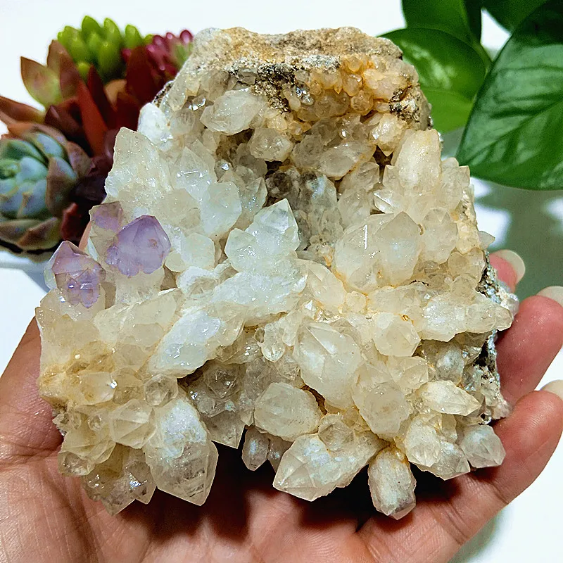 

Natural Stones White Crystal And Amethyst Cluster Symbiosis Mineral Samples Spiritual Healing Chakra Feng Shui Room Decoration