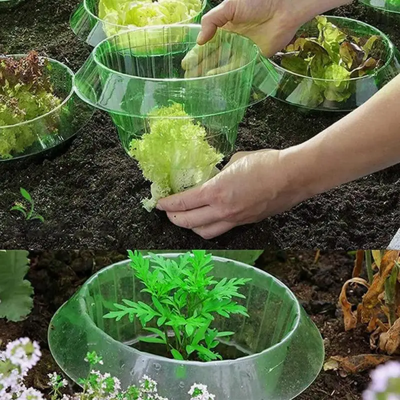 ฝาครอบผักป้องกันหอยทาก10ชิ้น/เซ็ตสำหรับทำสวนผักกาดหอมและกะหล่ำปลี
